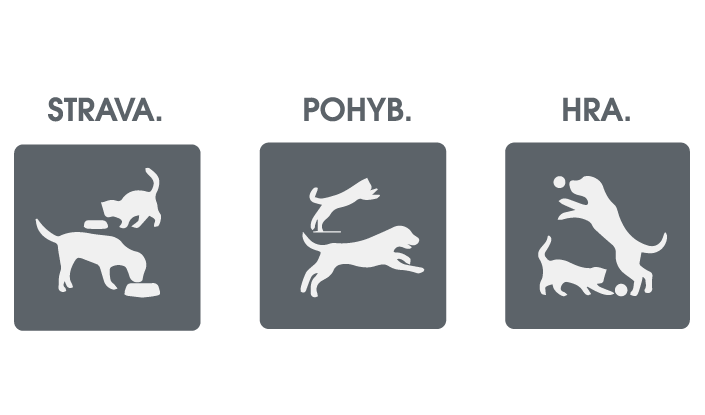 3 icon
