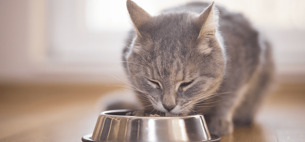 Perfect Fit™ brand imagery