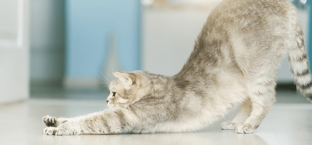 Perfect Fit™ brand imagery