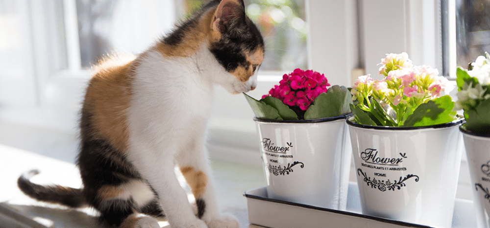 Perfect Fit™ brand imagery