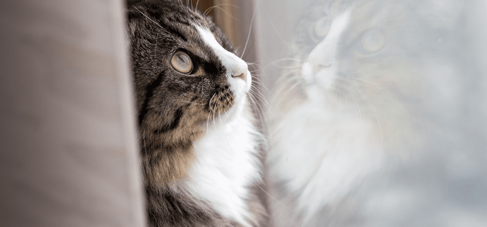 Perfect Fit™ brand imagery