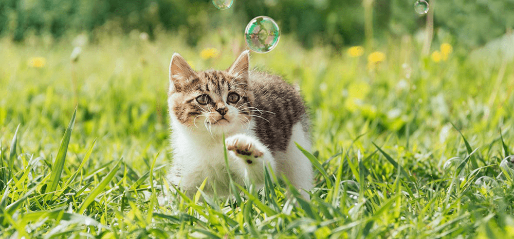 Perfect Fit™ brand imagery