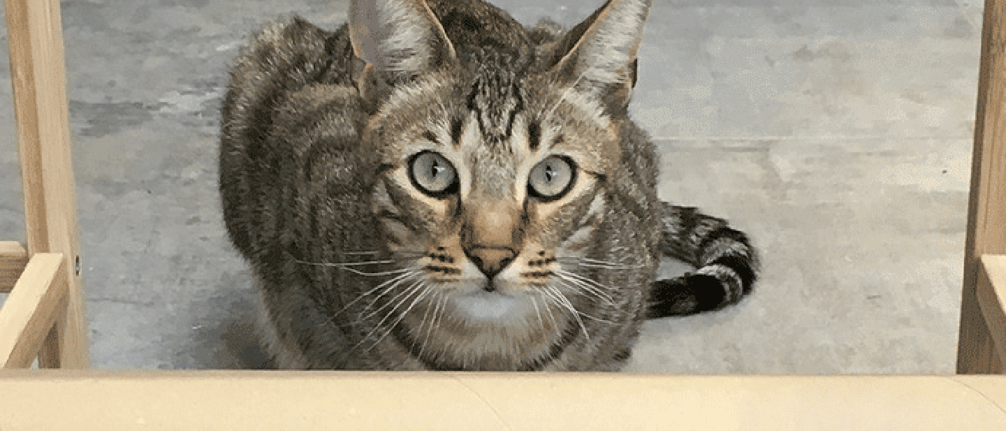 BUDŤE AKTIVNÍ A HBITÍ