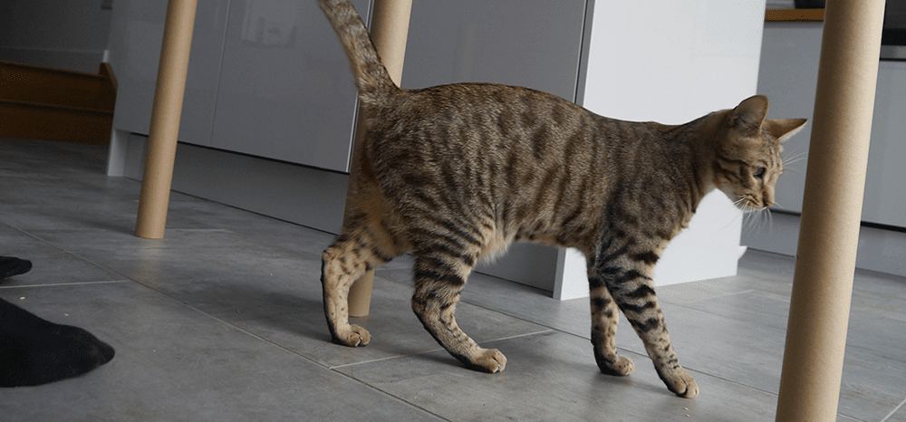 Perfect Fit™ brand imagery