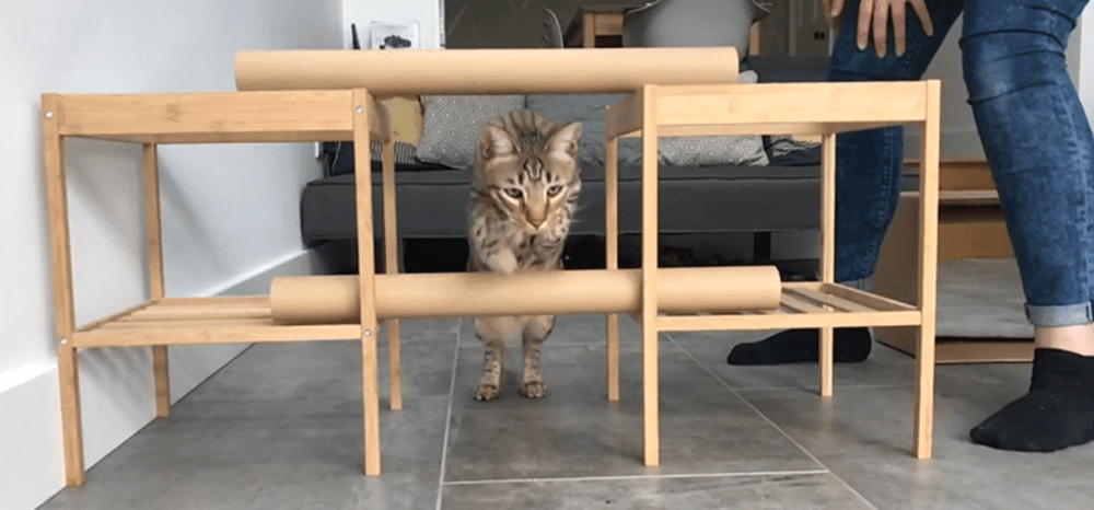 Perfect Fit™ brand imagery