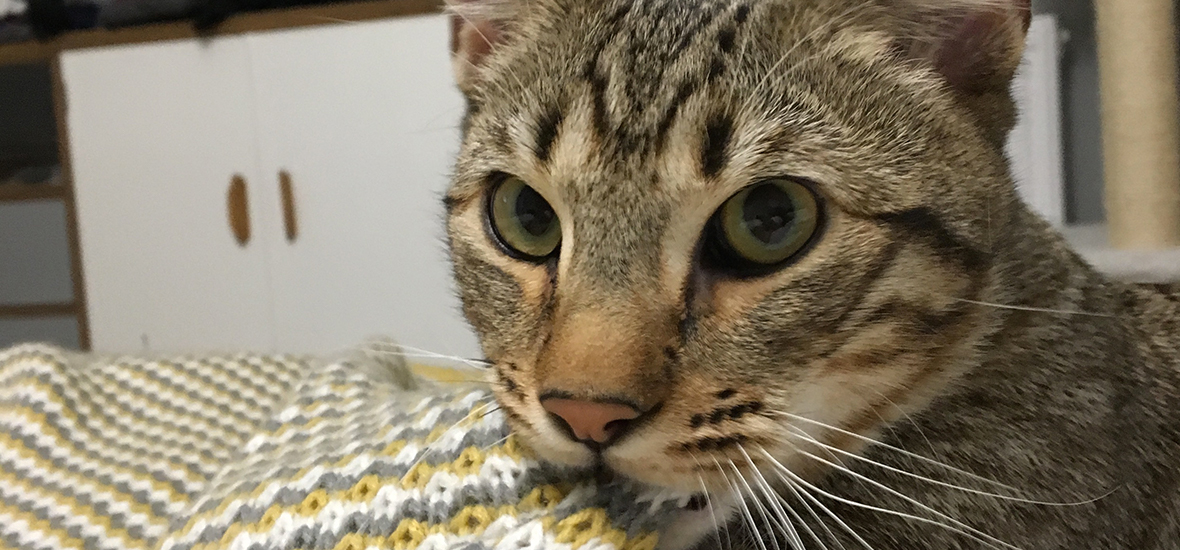 Perfect Fit™ brand imagery