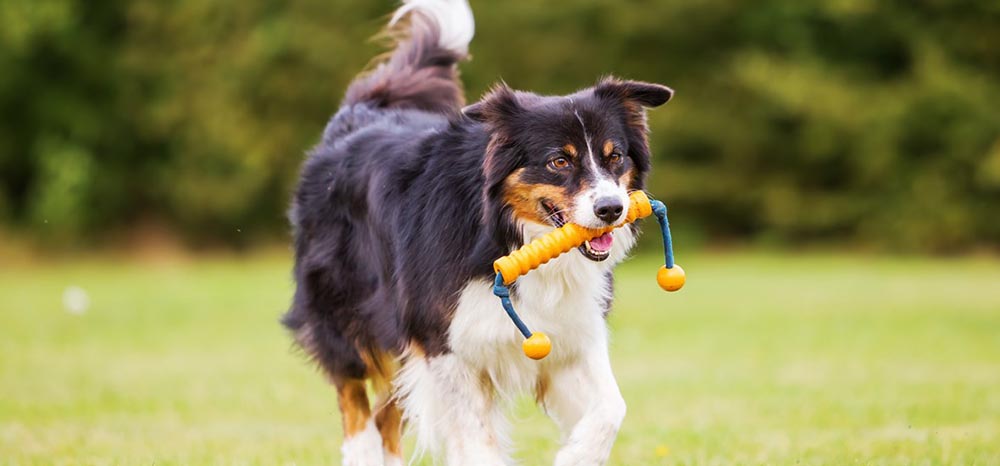 Perfect Fit™ brand imagery