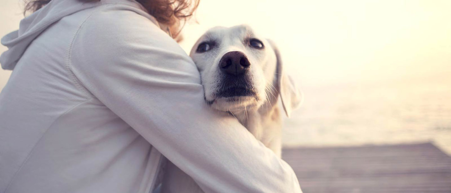 VÝHODY SDÍLENÍ ŽIVOTA SE PSEM