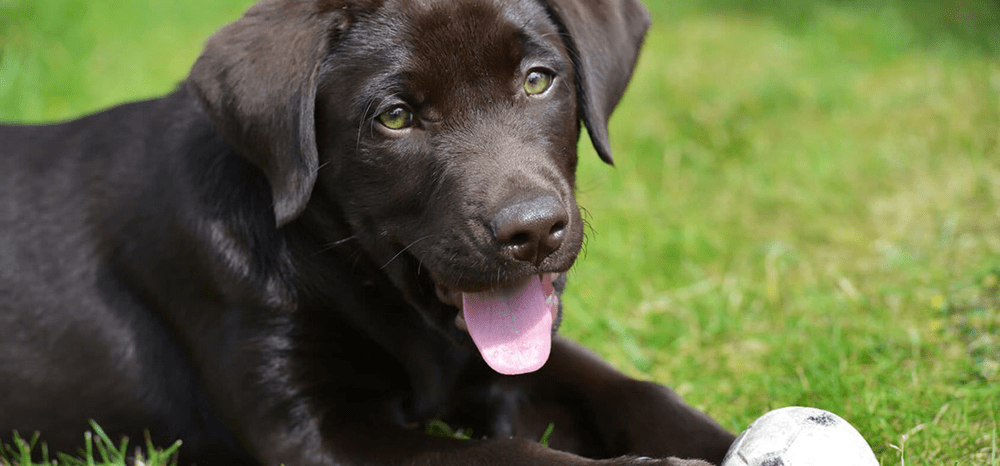 Perfect Fit™ brand imagery