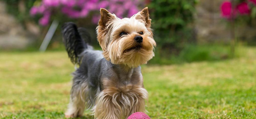 Perfect Fit™ brand imagery