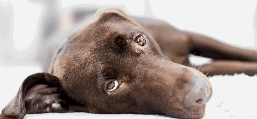 Perfect Fit™ brand imagery