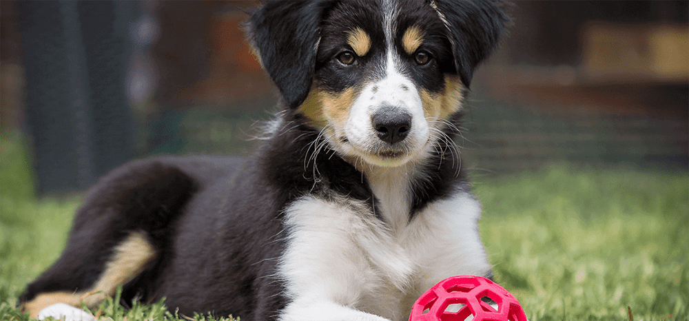 Perfect Fit™ brand imagery