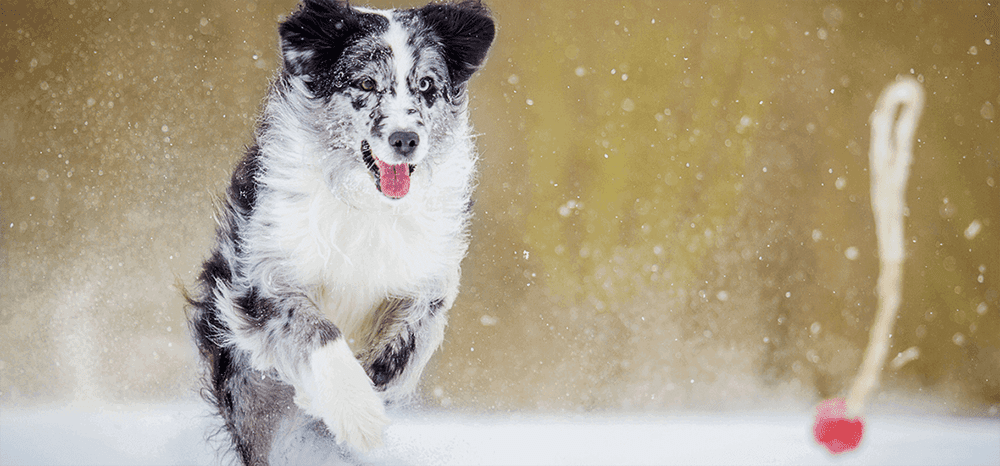 Perfect Fit™ brand imagery