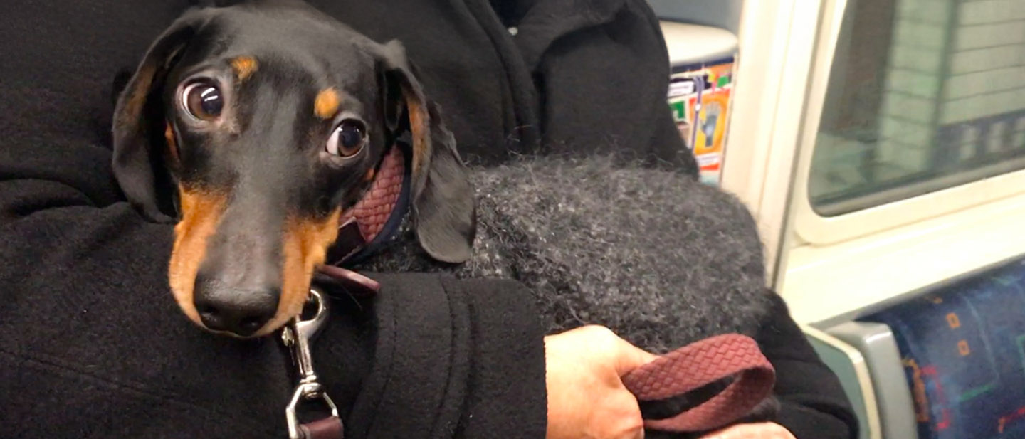 ZJISTĚTE, S KÝM SI HRAJE NEJRADĚJI