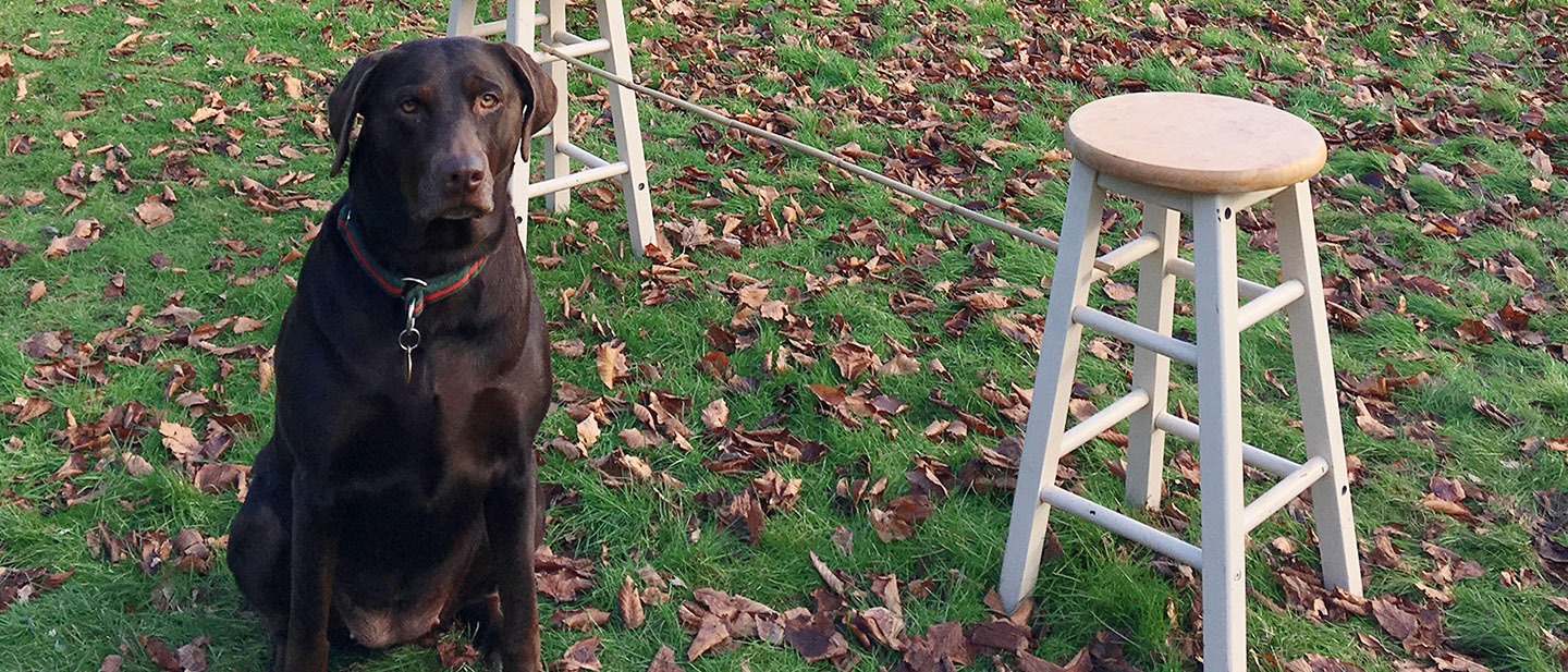 VYZKOUŠEJTE NOVÉ VĚCI!