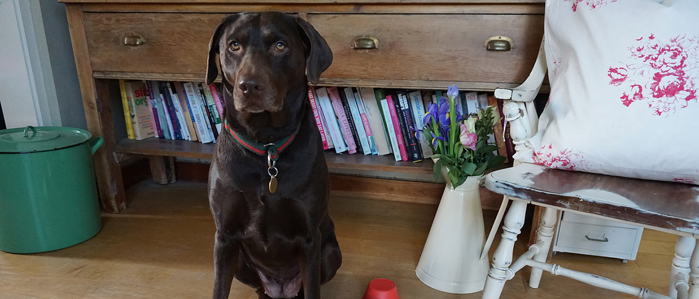 ROZŠIŘTE ŠKÁLU JEJICH DOVEDNOSTÍ