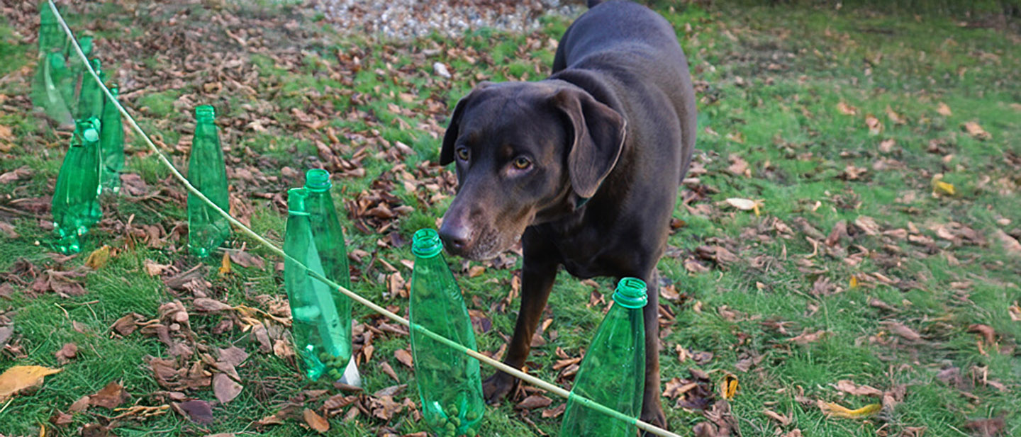 AŤ SI KRMENÍ ZASLOUŽÍ