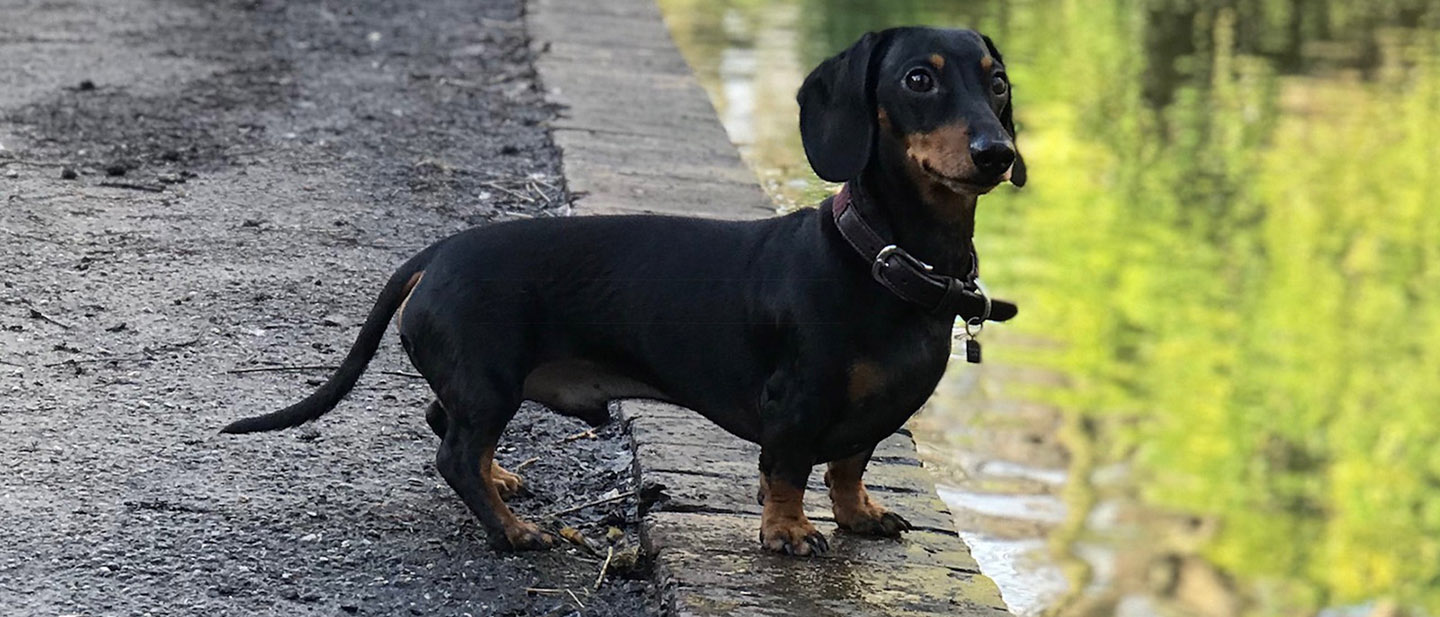 OBJEVUJTE SPOLU NOVÁ ZÁKOUTÍ