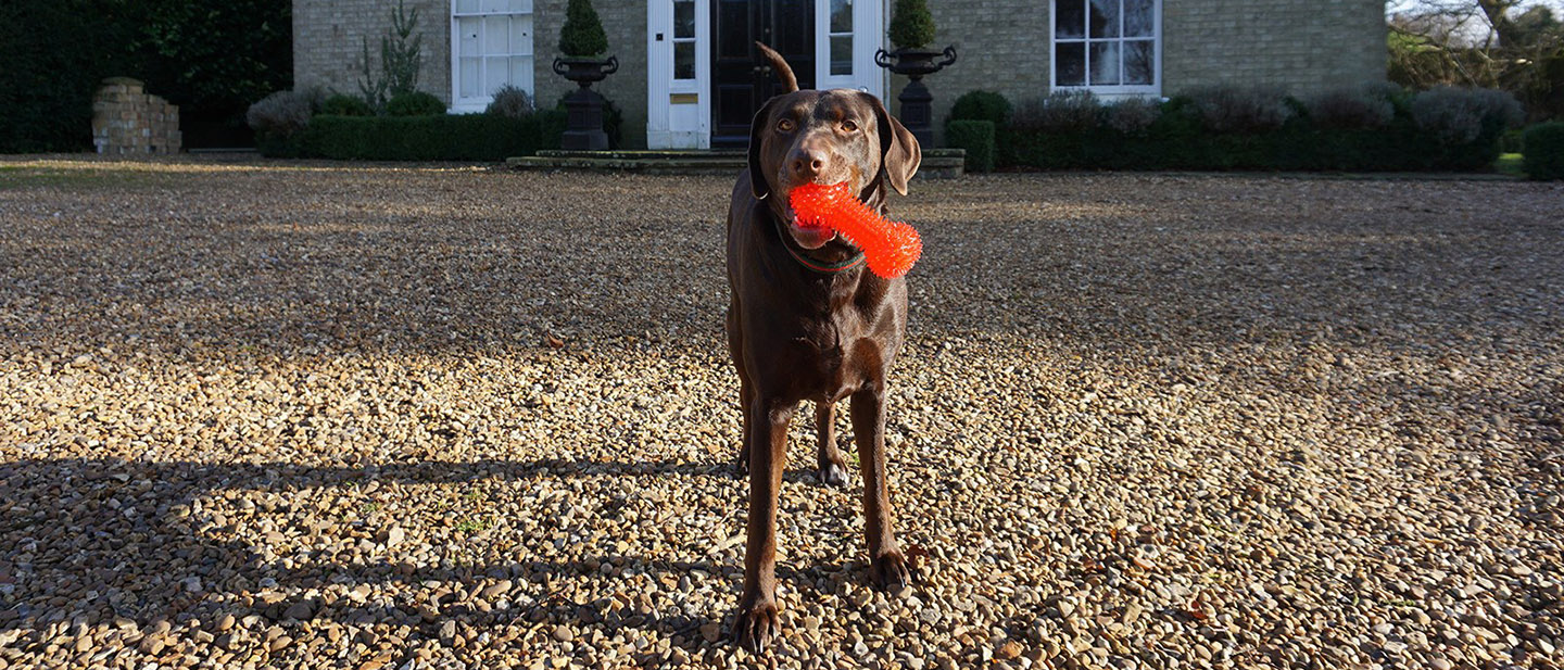 ZAHRAJTE SI OBLÍBENOU HRU