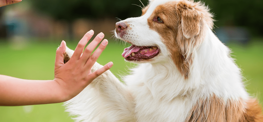 Perfect Fit™ brand imagery