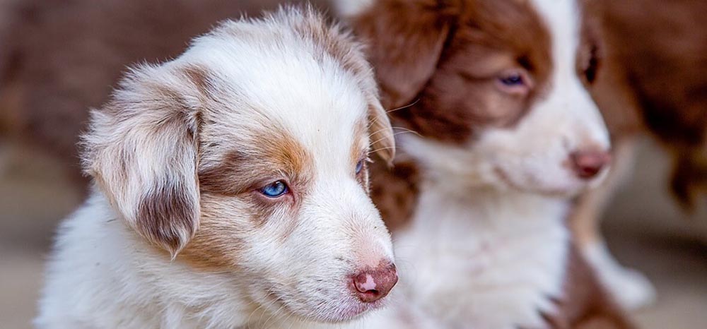 Perfect Fit™ brand imagery