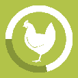 image pf_cat_icon_protein_chicken_1667398132092