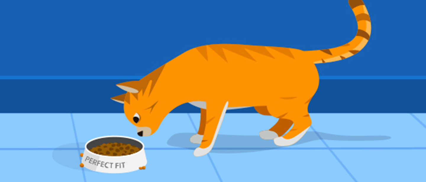 WALTHAMSKÝ PRŮVODCE PRO PERFEKTNÍ KONDICI